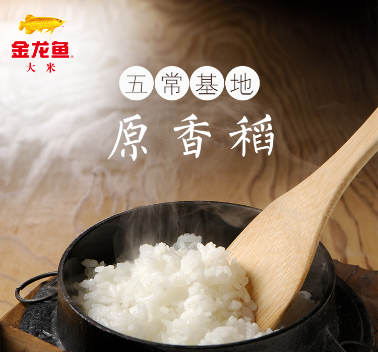 金龙鱼五常基地原香稻10kg