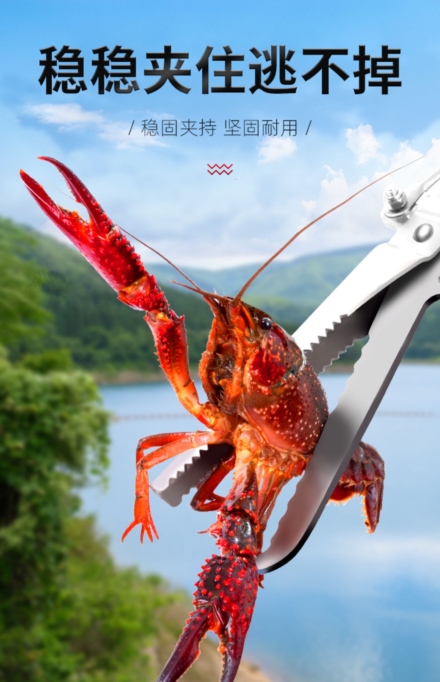 御蓝锦赶海工具黄鳝夹子抓龙虾泥鳅防滑防脱鳝鱼钳子折叠养蛇勾防蛇s