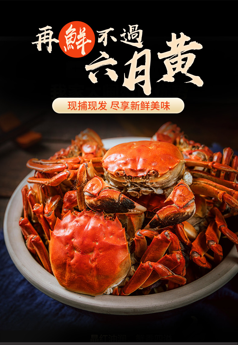 六月黄大闸蟹鲜活二元蟹20送5只