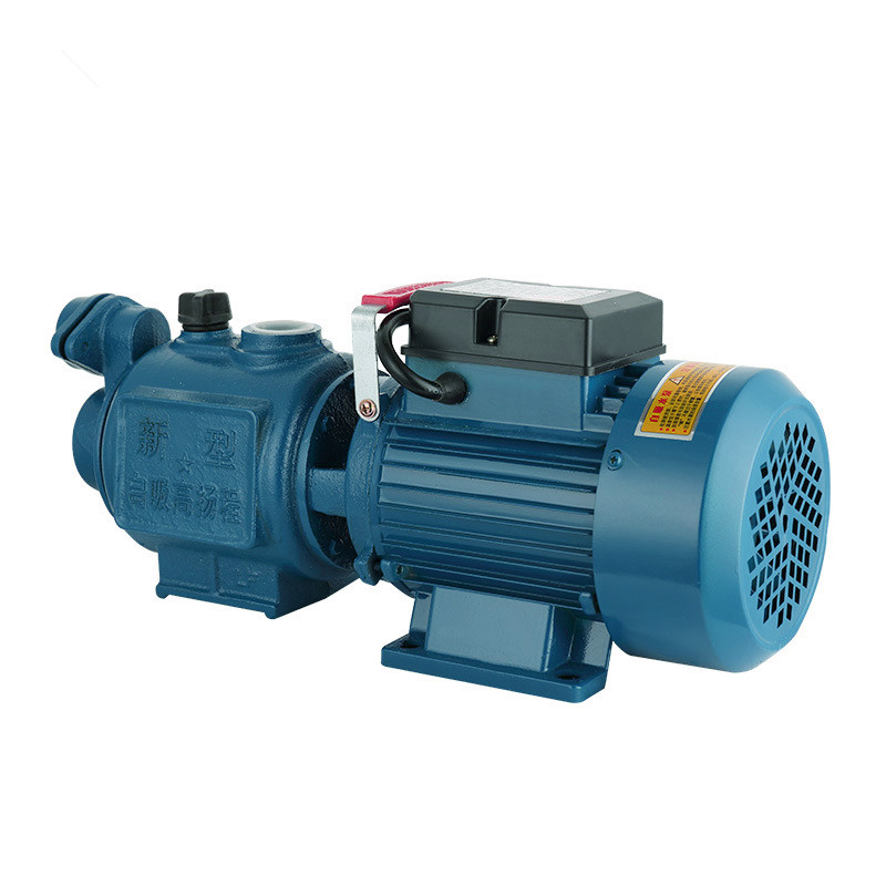 定做 螺杆自吸泵大流量高杨程家用220v全自动增压泵自来水无塔供抽水