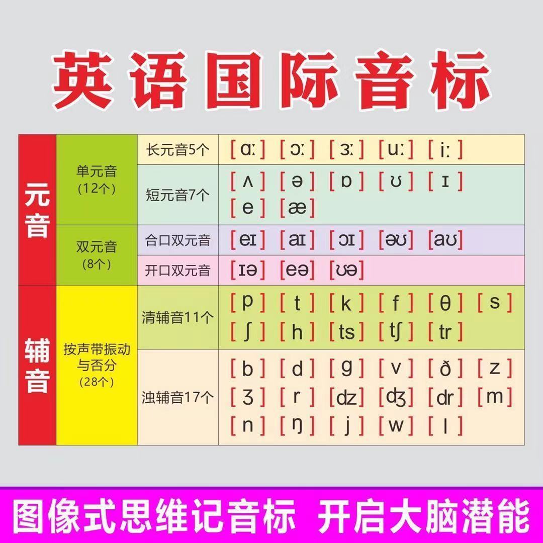 48个国际音标卡片画册速成手册有声图卡零基础英语入门学国际音标零