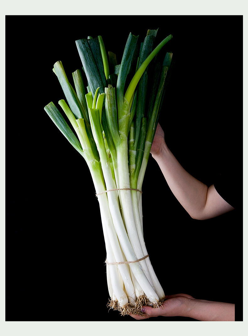 湛航葱姜蒜椒 湛航 山东大葱新鲜铁杆大葱非章丘当季香葱铁杆大葱粗五