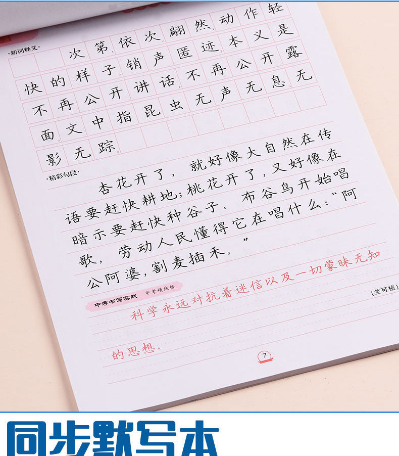 初二8八年级上册语文字帖人教版同步写字课课练中学生楷书练字贴八