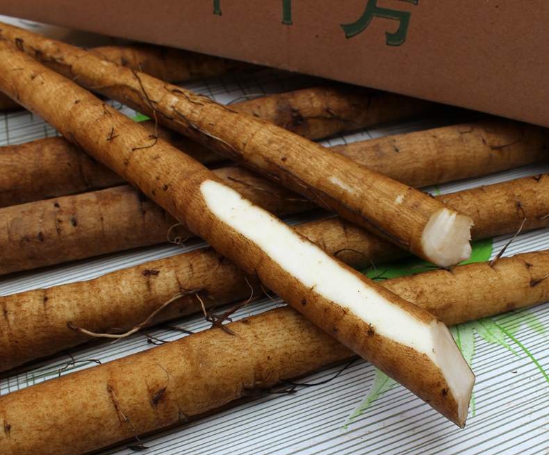 新鲜牛蒡5斤装牛蒡苍山根蔬菜牛旁牛蒡菜牛蒡茶的原料可开发票