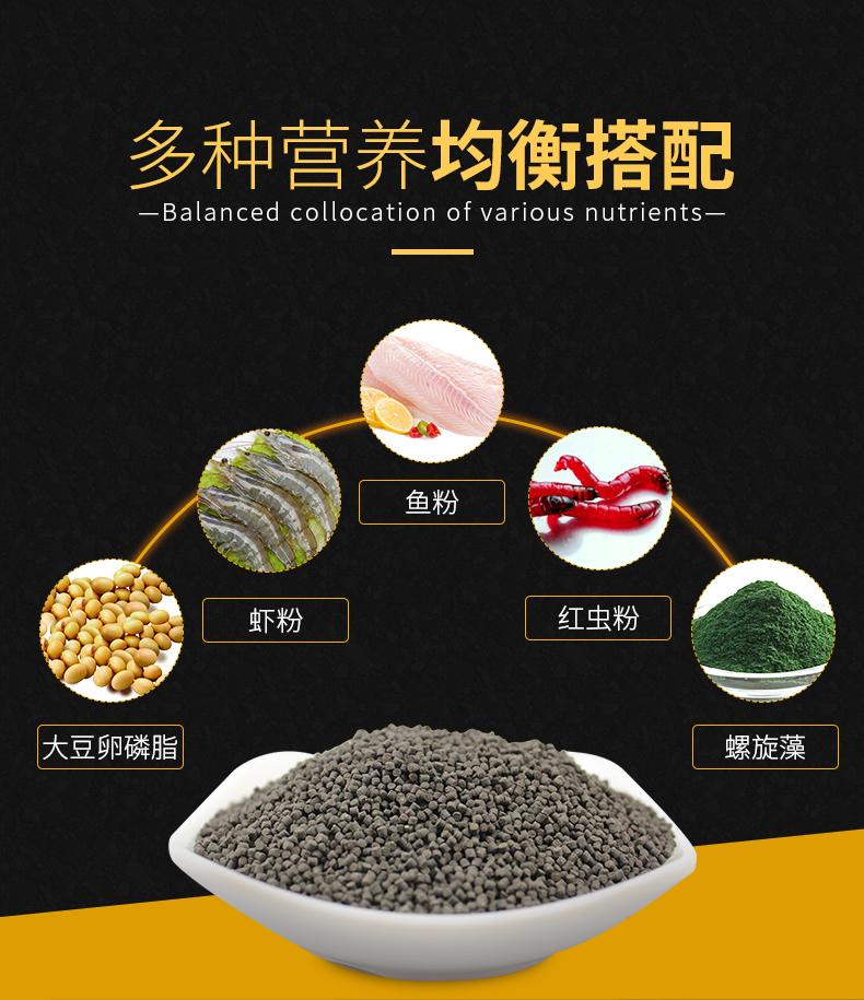 蝾螈六角恐龙鱼饲料六角龙娃娃鱼东方蝾螈鱼食粮宠物专用六角恐龙蝾螈