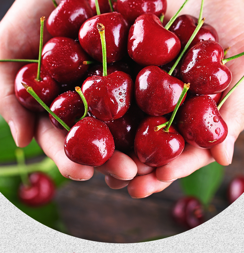 顺丰空运正宗山东烟台大樱桃脆甜多汁孕妇水果新鲜当季应季水果国产