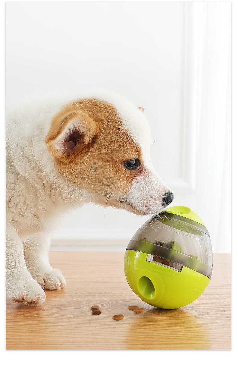 狗狗漏食球狗玩具不倒翁狗粮智力米妮猫咪宠物零食漏食器解闷