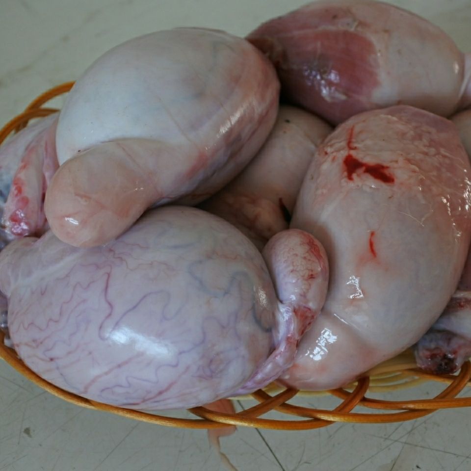 赛卡伊 羊宝新鲜羊蛋现杀羊鞭羊球羊三宝生鲜羊生殖器煲汤烧烤刷火锅