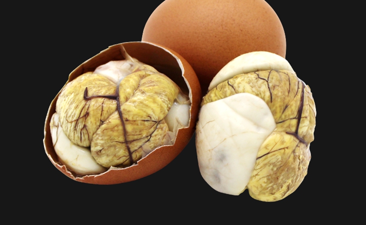 桃小淘蛋类 新鲜13天活珠子10枚鸡胚蛋开袋即食熟凤凰蛋钢化蛋毛蛋