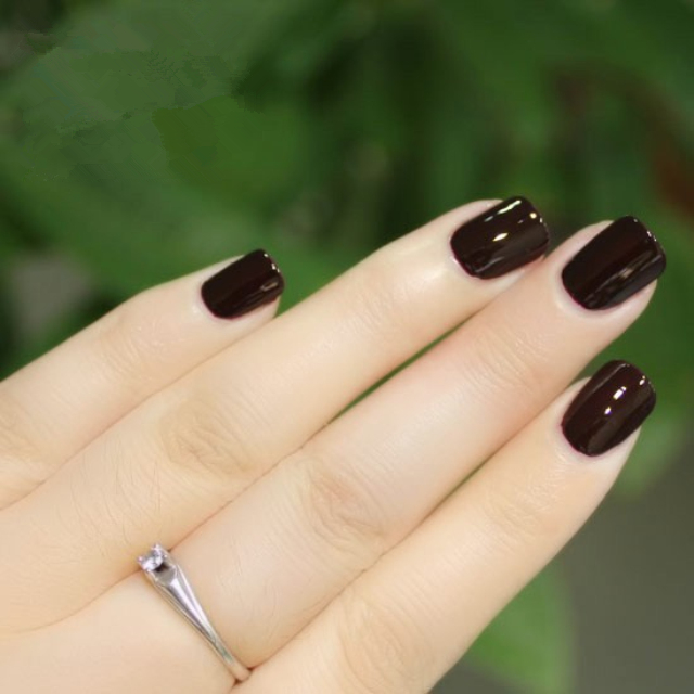 sweetcolor酱紫色指甲油显白快干持久深紫红色指甲油无毒美甲抖音同款