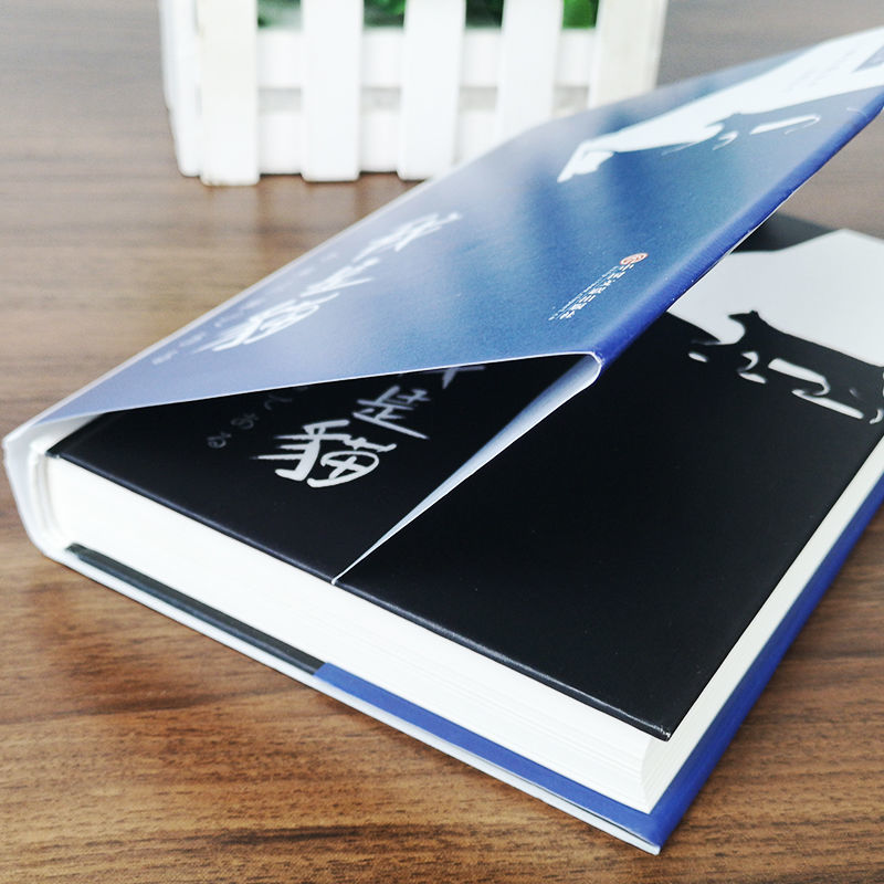 我是猫正版精装版名著日本夏目漱石珍藏版书籍平装