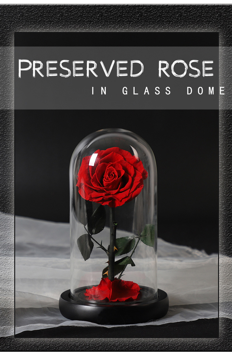 生日礼物女送女朋友礼物结婚纪念日礼物永生花成品玫瑰花玻璃罩礼盒