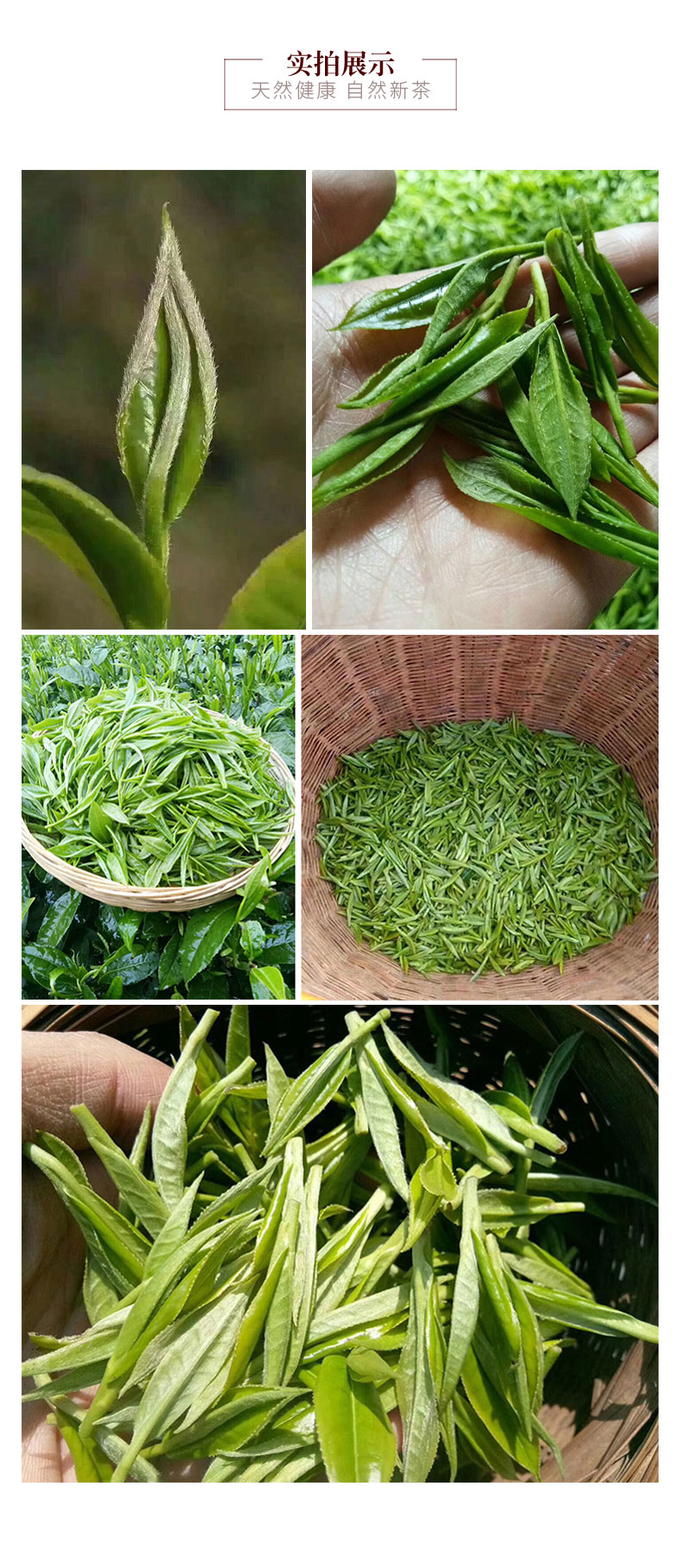 云鼎湘小泡袋雨前茶天然有机茶炒青绿茶湖南塔山山岚茶6g旅行装