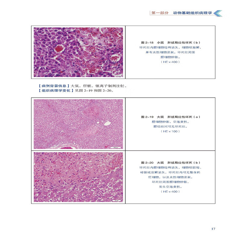 动物疾病组织病理学诊断图谱 杨利峰 赵德明 周向梅 编 9787565532214 中国农业大学出版