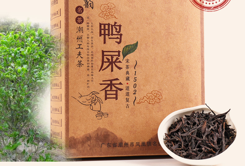 茶葉特級鳳凰單叢茶潮韻鴨屎香高山烏龍茶單從茶250g