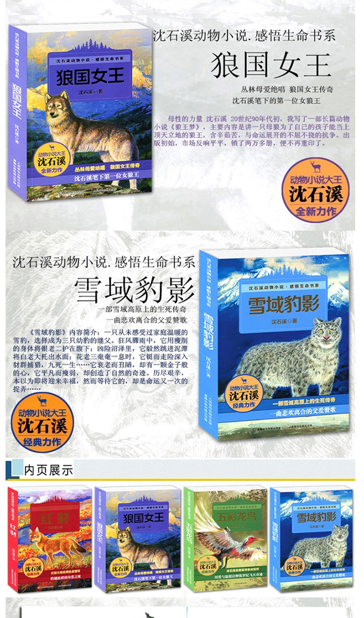 沈石溪動物小說全集4冊狼國女王紅豺雪域豹影五彩龍鳥動物小說大王