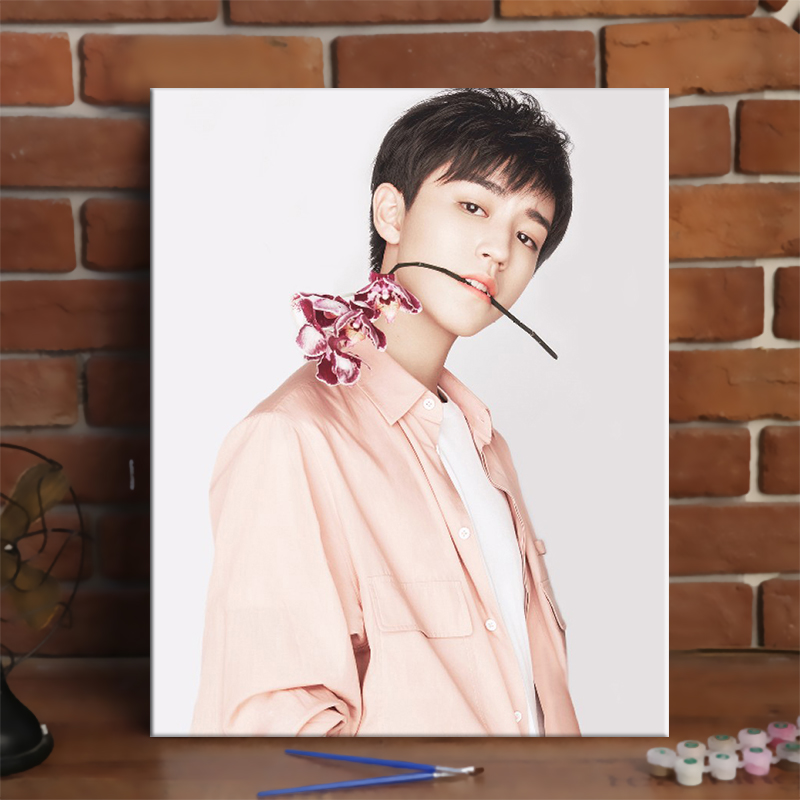 艾姿莉(aizili) 压油画王俊凯数字填色油彩画卧室手绘装饰画