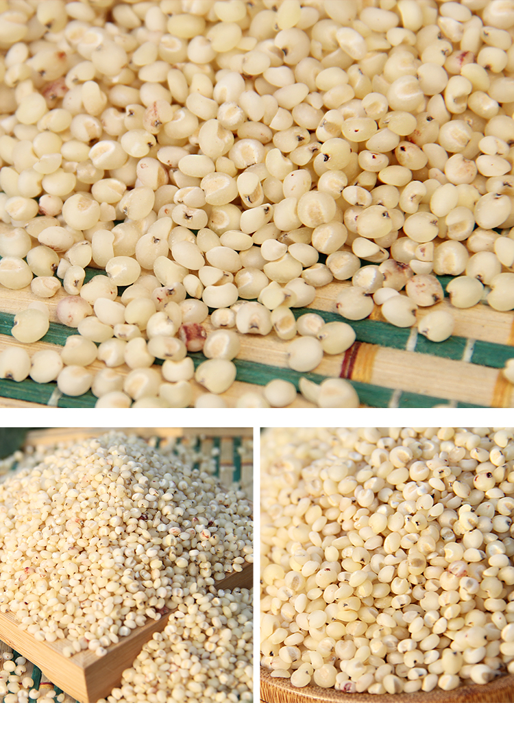 超级新品 去皮高粱米2500g 白高粱米老郭五谷杂粮