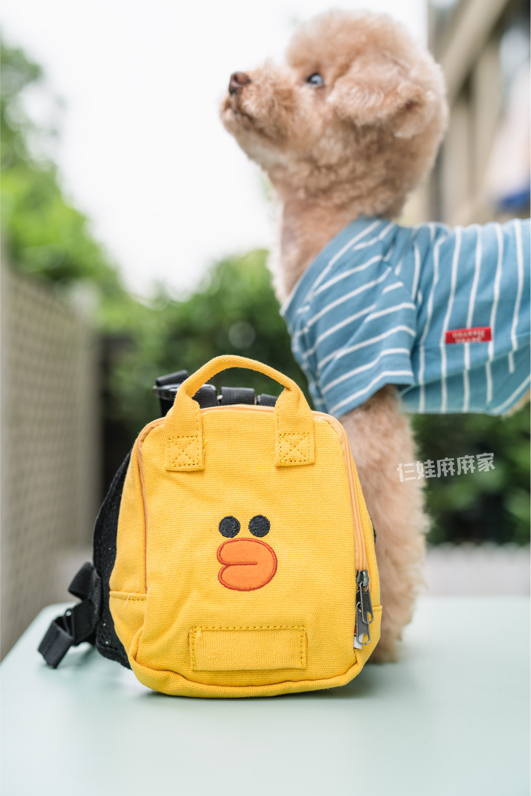 狗狗书包狗狗背包狗用可爱细节多宠物狗狗自背包