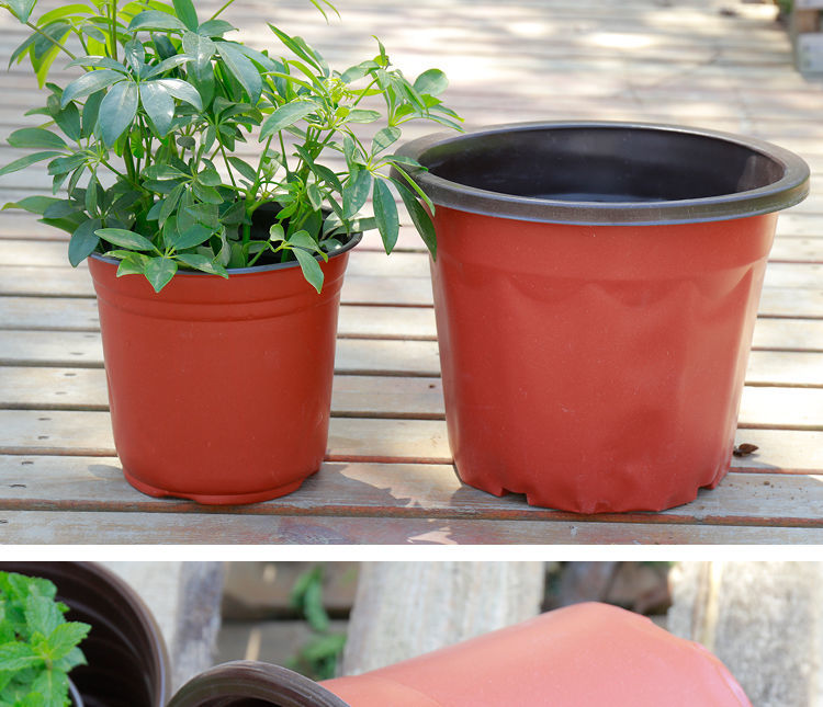 《双色盆一次性花盆育苗穴盘塑料育苗盆大号营养钵培育盆多肉种植盆