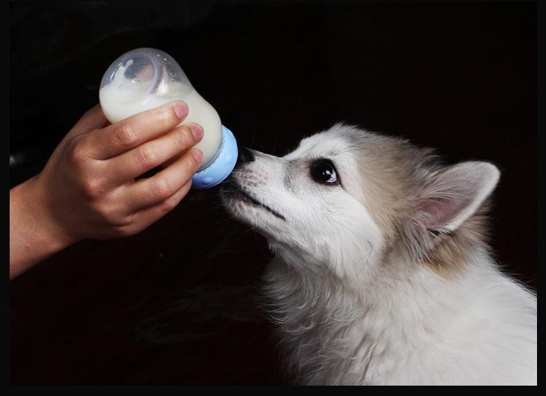 奶瓶宠物奶嘴狗狗奶瓶新生小狗小猫幼猫幼犬猫奶瓶型喂奶器 宠物益生
