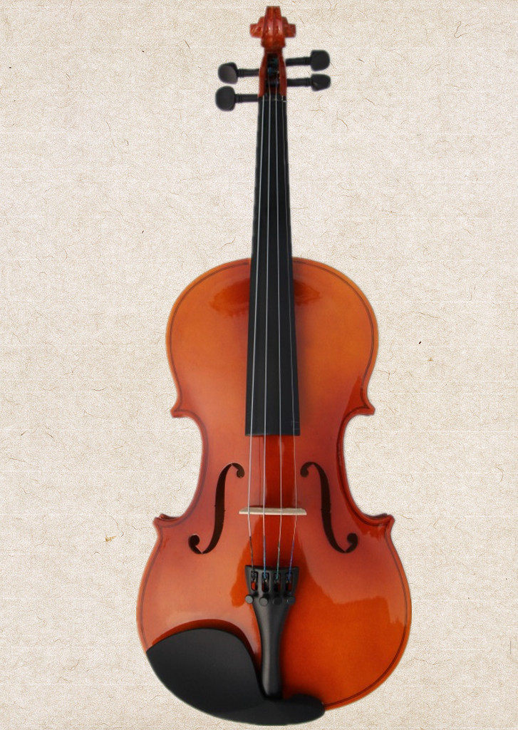 品牌优选乐器初学者练习的小提琴各型号齐亮光油漆儿童小提琴