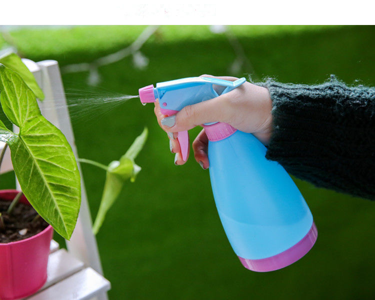 莱杉绿植盆栽 浇花小喷壶清洁喷雾器盆景多肉喷水壶塑料糖果色淋花