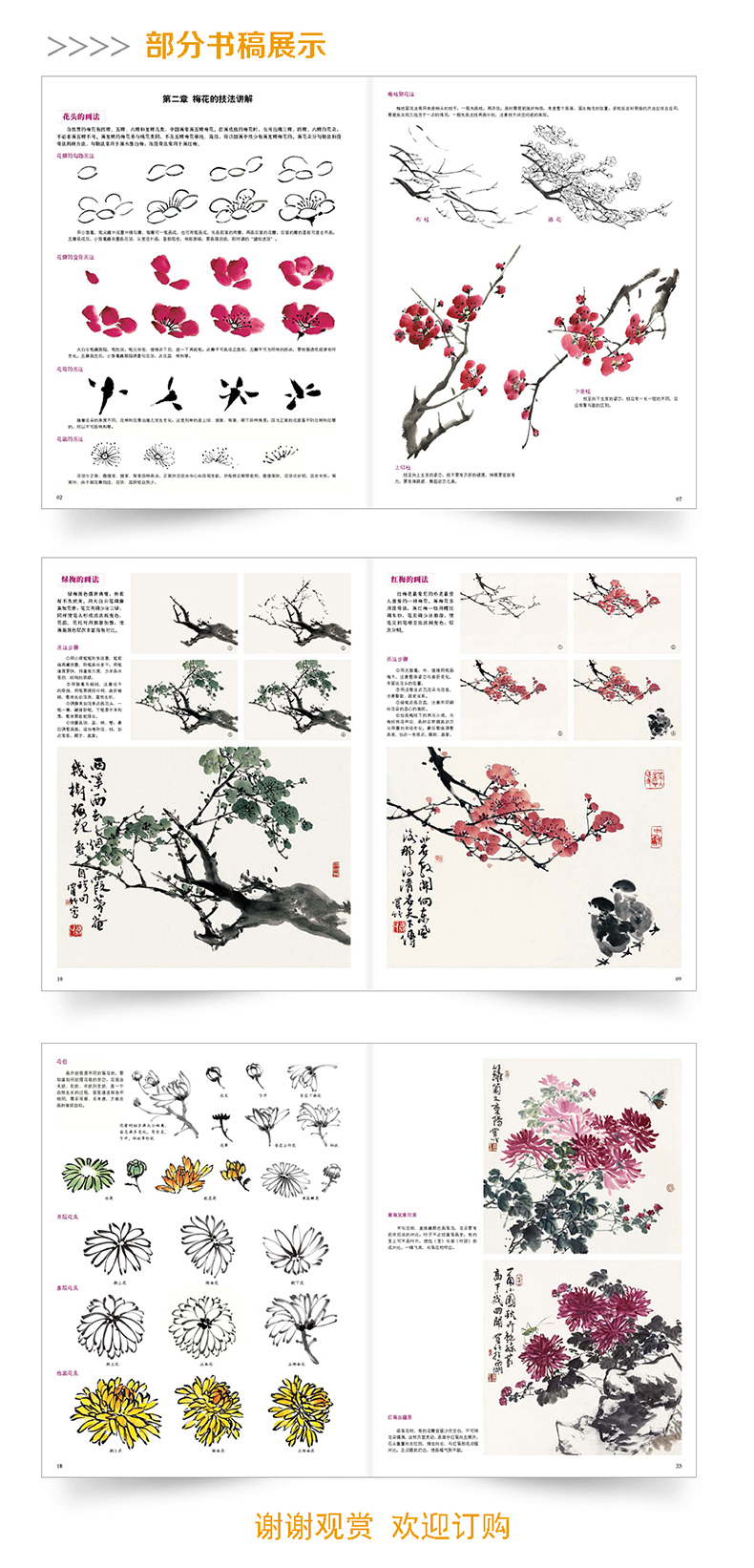 册牡丹蔬果花鸟兰竹梅菊的画法零基础学传统水墨国画入基础教程自学国