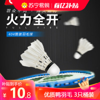 强力(QIANGLI) 筒装羽毛球鸭毛持久稳定耐打室内室外通用训练球