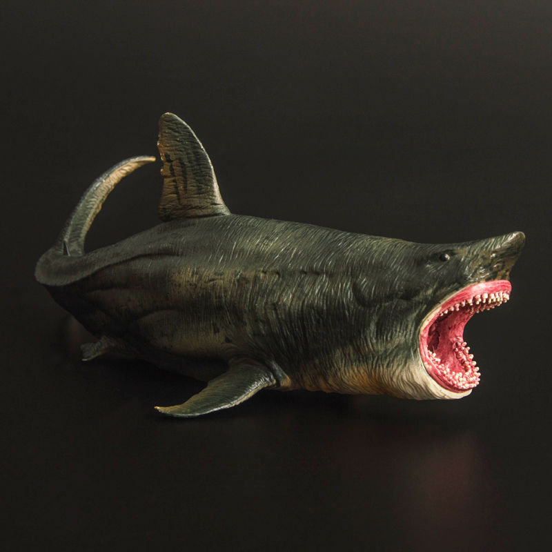远古海洋生物动物模型大白鲨巨齿鲨大牙鲨仿真儿童玩具男女孩礼物2019