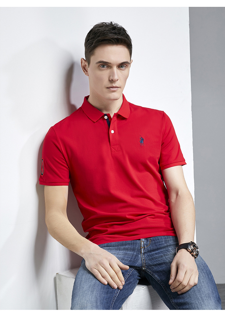 休闲男装短袖t恤翻领polo衫体恤中青年大码牌衣服【价格 图片 品牌