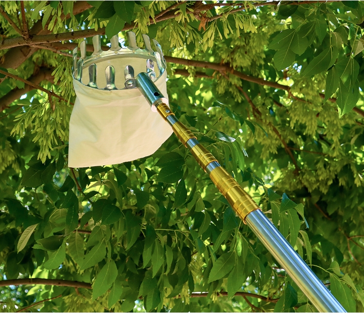 不锈钢伸缩杆古达高空摘果杆器槐花杆镰刀钩子柿子杆