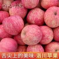 [地标授权]正宗陕西洛川苹果红富士3斤小果70mm尝鲜款产地直发