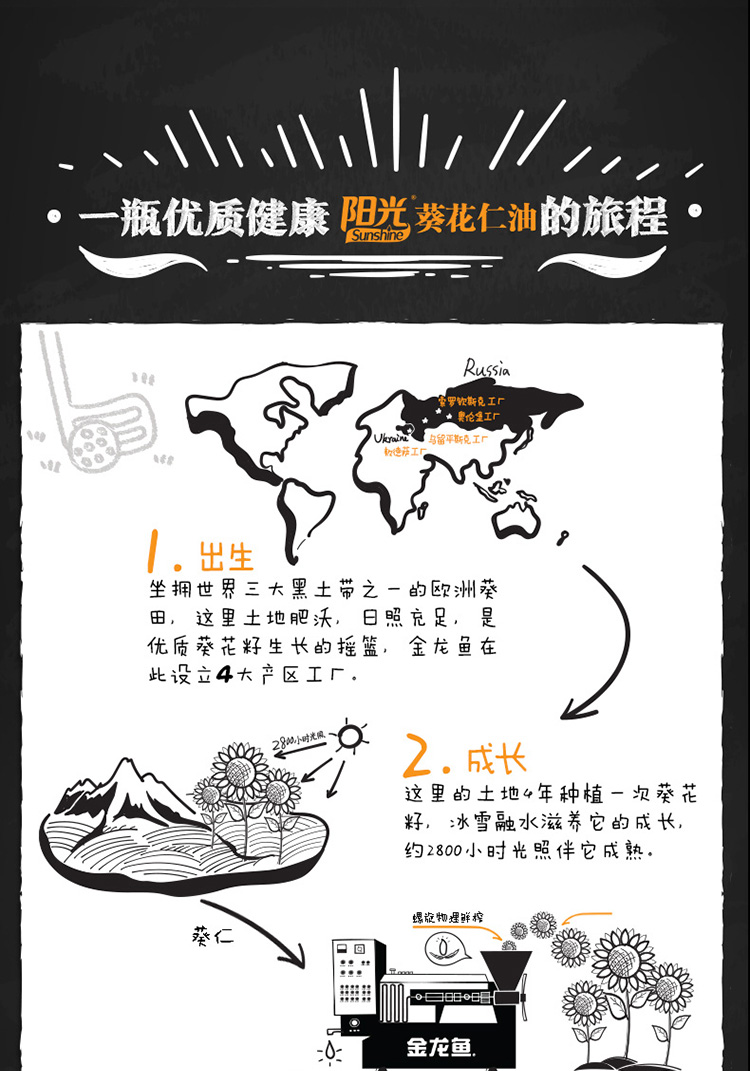 金龙鱼阳光鲜榨原香葵花仁油5L