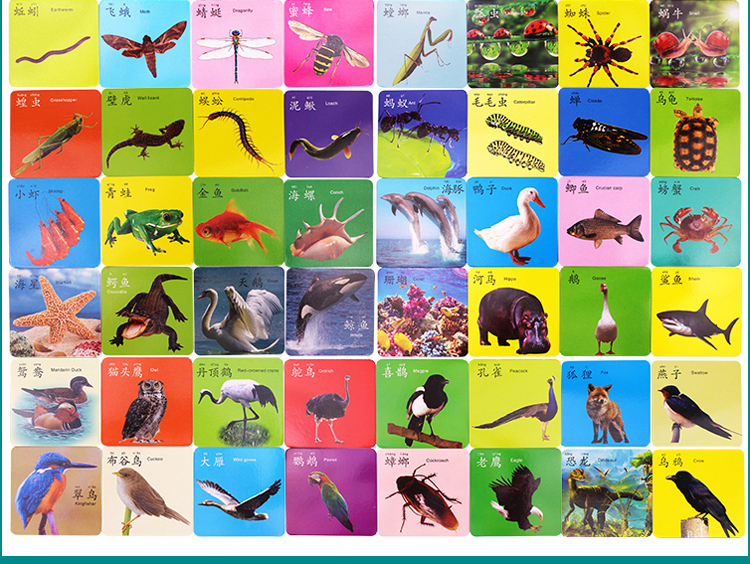 婴幼儿童早教卡认知卡智扣识图卡片宝宝学习英语拼音一盒45