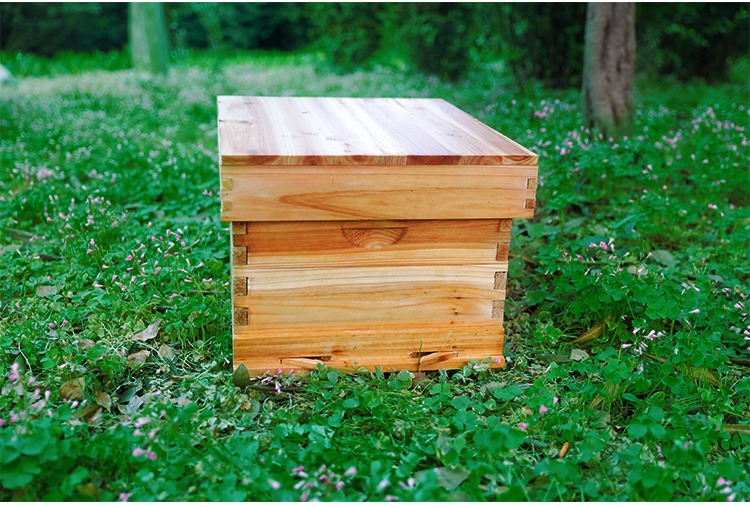 定做蜂箱煮蜡蜜蜂中蜂箱全套蜂密养蜂工具杉木标准平箱常规款