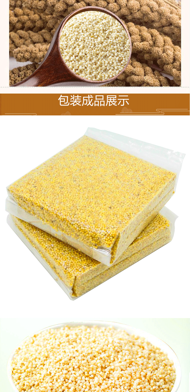 甘肃扶贫馆会宁特产会宁油小米335g3袋装