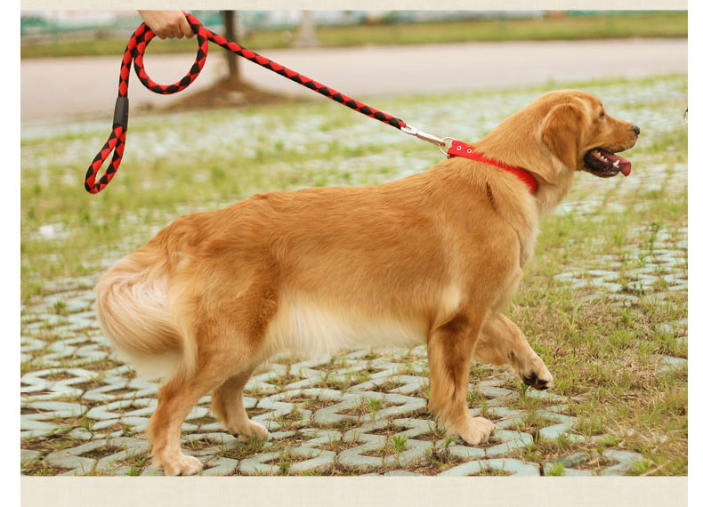 狗狗牵引绳泰迪金毛狗链子狗项圈大型犬遛狗绳子胸背带中型犬用品