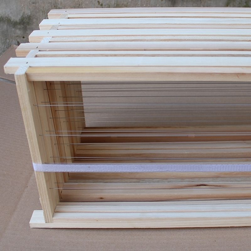 成品巢框蜂巢中蜂意蜂杉木巢基蜜蜂巢框拉好钢丝带巢础框养蜂工具5个