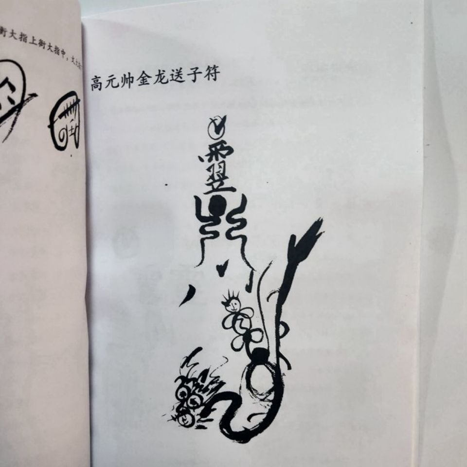 正一天师符篆汇集龙虎山天师符箓画符教材掐诀取炁入煞详解73页