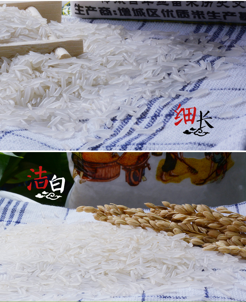 挂绿增城丝苗米05kg国家地理标志长粒香大米籼米煲仔饭新米