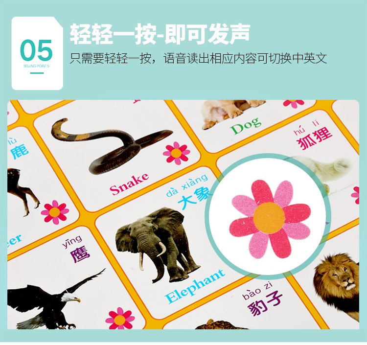 卡通3张套餐1:拼音 水果 动物