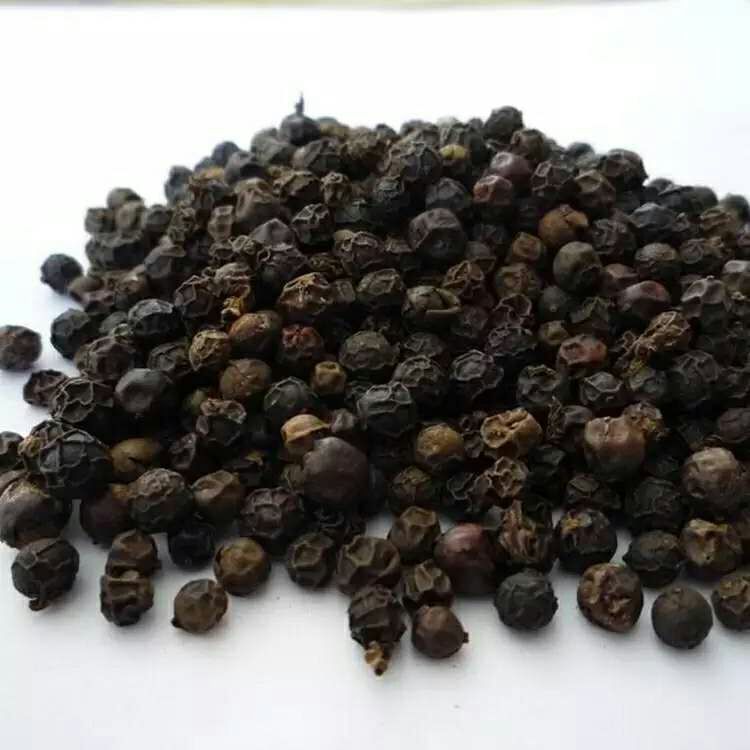 香料海南黑胡椒厨房胡椒粉烧烤火锅底料龙虾调料 黑胡椒粒 250克
