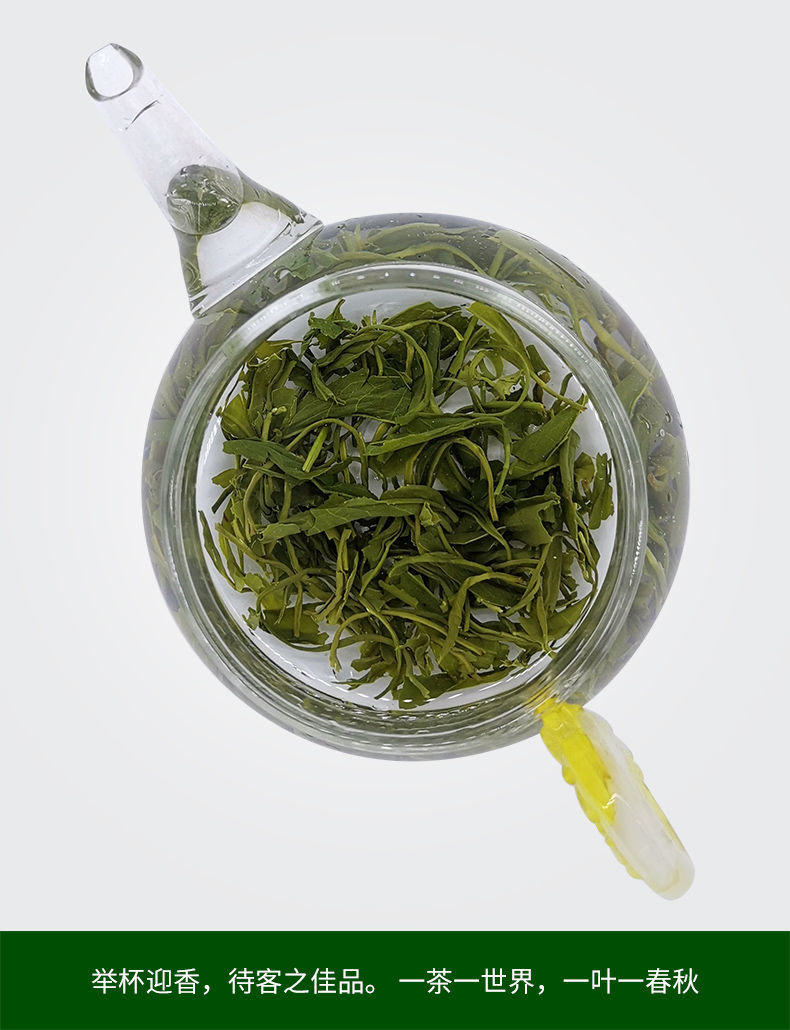 绿茶福建高山绿茶云雾绿茶炒青茶叶散装一斤两袋500g500g