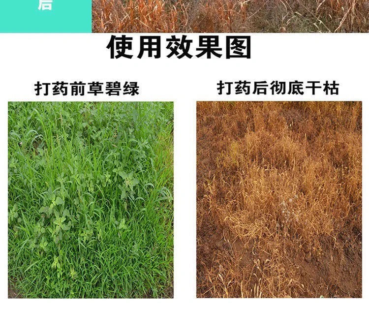 环嗪酮除树剂杀树王杀竹子杀大树烂根灌木杂竹净灭树除杂草除草剂