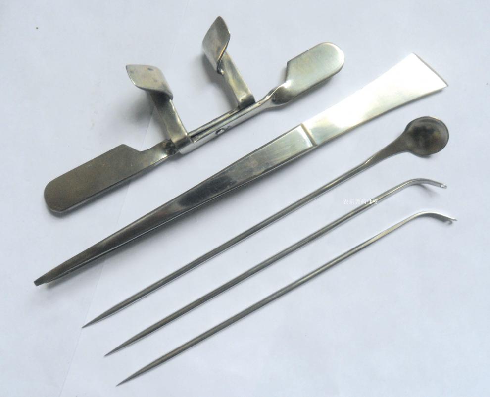 小鸡 手工阉鸡工具三件套不锈钢 阉鸡工具阉鸡器 阉割公鸡刀