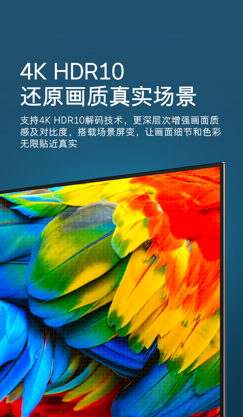 【创维(skyworth)平板电视65g2065g32065s1yp 65v306】 新品创维电视