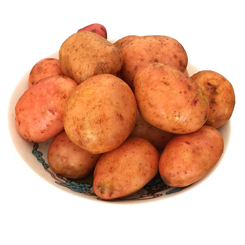 xj云南新鲜小土豆10斤红皮心小洋芋现挖土豆马铃署5kg生鲜味道棒可开