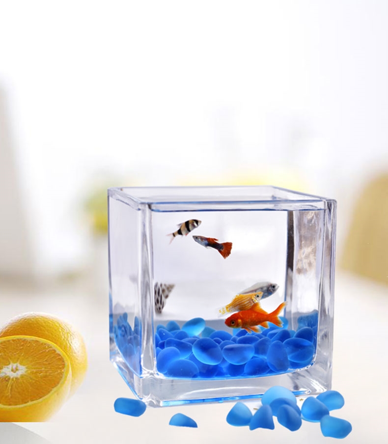 小鱼缸水族箱客厅小型桌面米妮创意家用水晶玻璃生态迷你金鱼缸方形