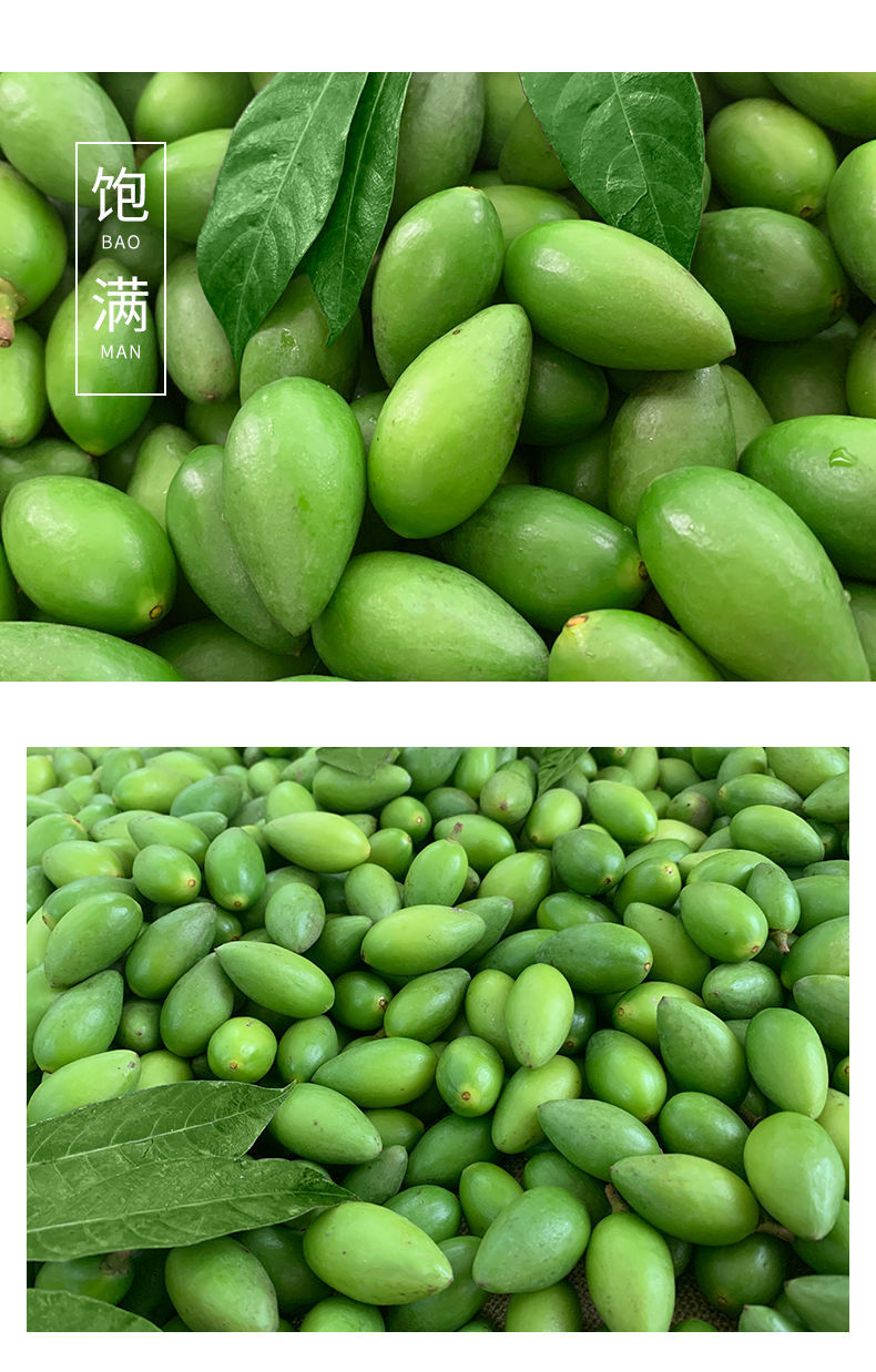 湛航 正宗潮汕现摘新鲜二号香甜青橄榄生吃酥脆檀香甜种橄榄孕妇水果